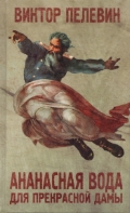    «    »