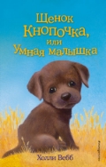   « ,   »