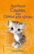   « ,    »