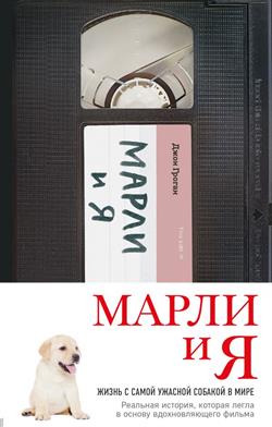   «  »