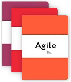   «. Agile-    (  3 )»