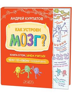    «  ?   ,   -   »