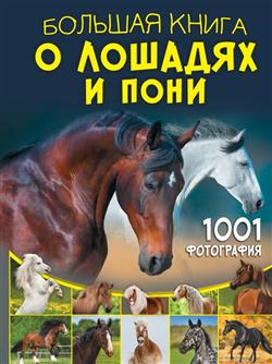    «     . 1001 »
