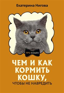    «    ,   »