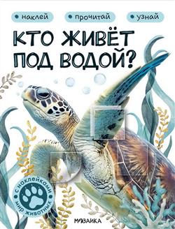  «��� ����� ��� �����?»