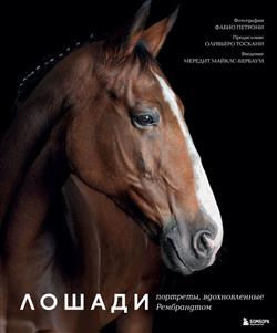 ������� ����� «������. ��������, ������������� �����������. ������������ ����������»