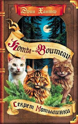 ������ ���� «�������������� �������. ������ ���������. �������»