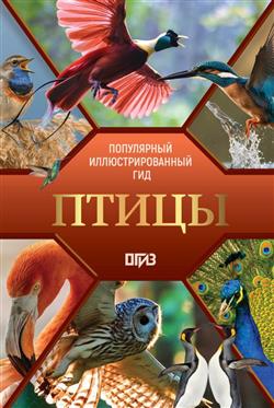 ������� ���� ��������� «�����. ���������������� ���»