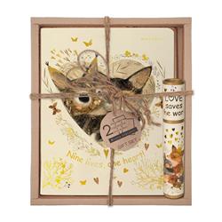  «����� ���������� "������. ������", 2 ������� + �����»