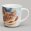  «������ "ANIMAL WORLD" 320 ��. 409-204.»