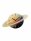  «����������� ���� "Saturn" D 450 ��. VQ��CL-16L.»