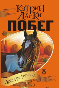 <b>   "" </b>