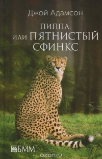 <b>  ",    "</b>