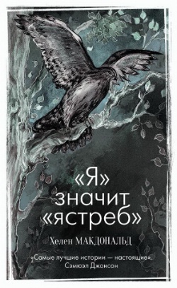 <b>  ""  ""</b>